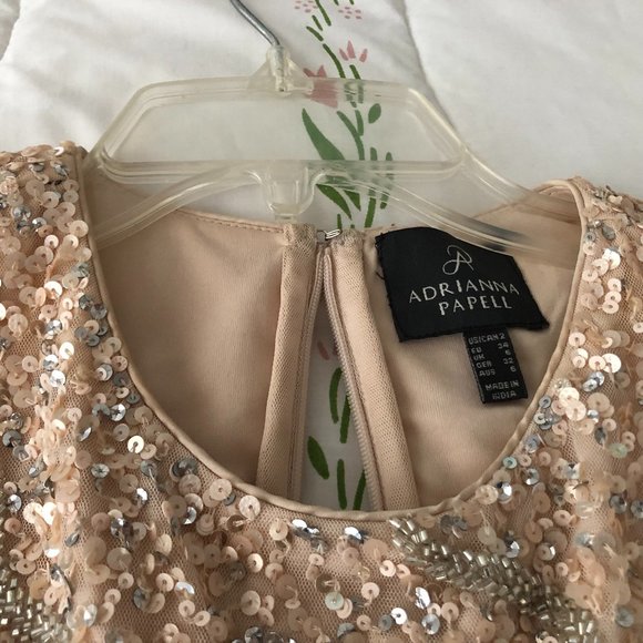 Adrianna Papell Wedding or Prom Dress - Picture 6 of 9